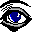 EyeOnSite icon